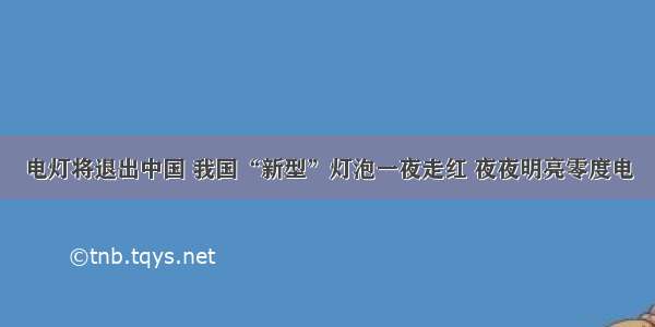 电灯将退出中国 我国“新型”灯泡一夜走红 夜夜明亮零度电