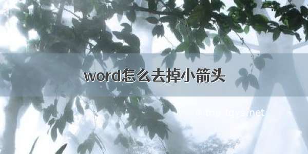 word怎么去掉小箭头