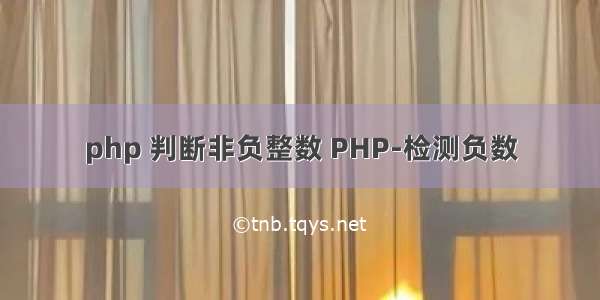 php 判断非负整数 PHP-检测负数