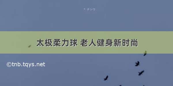 太极柔力球 老人健身新时尚