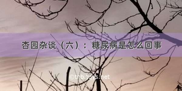 杏园杂谈（六）：糖尿病是怎么回事