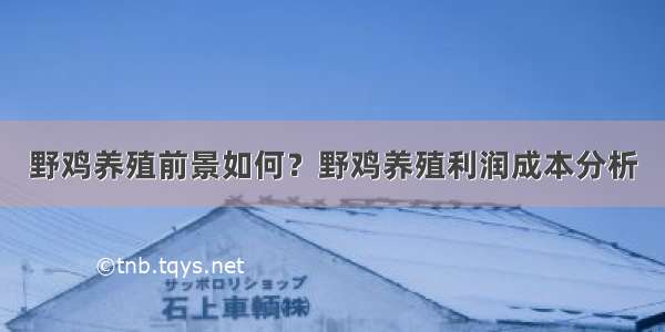 野鸡养殖前景如何？野鸡养殖利润成本分析