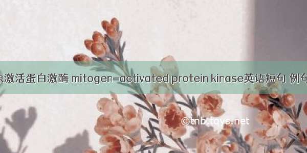 丝裂原激活蛋白激酶 mitogen-activated protein kinase英语短句 例句大全