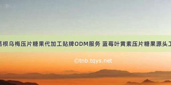 成熟配方昆布葛根乌梅压片糖果代加工贴牌ODM服务 蓝莓叶黄素压片糖果源头工厂OEM代加工