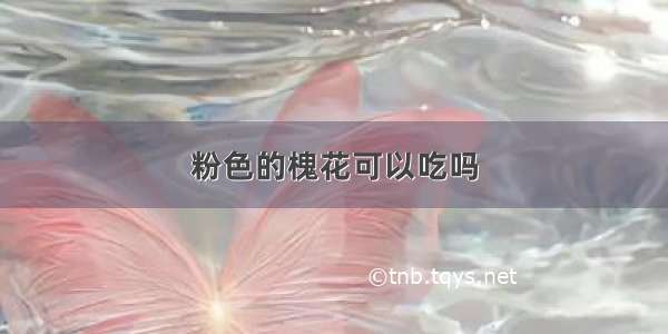 粉色的槐花可以吃吗