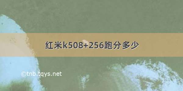 红米k508+256跑分多少