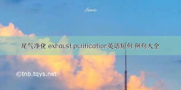 尾气净化 exhaust purification英语短句 例句大全