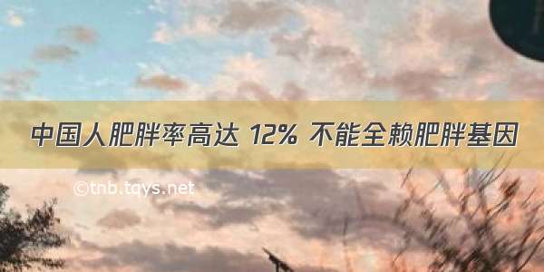 中国人肥胖率高达 12% 不能全赖肥胖基因