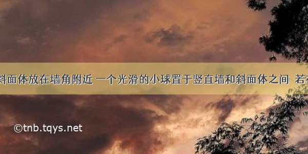 如图所示 斜面体放在墙角附近 一个光滑的小球置于竖直墙和斜面体之间．若在小球上施