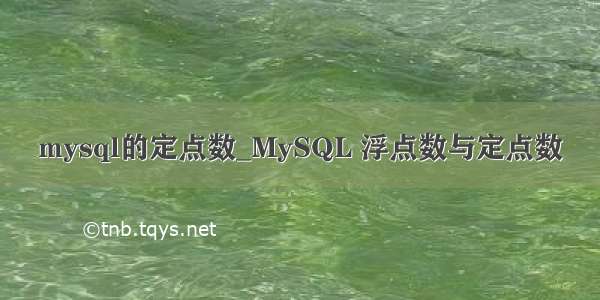 mysql的定点数_MySQL 浮点数与定点数