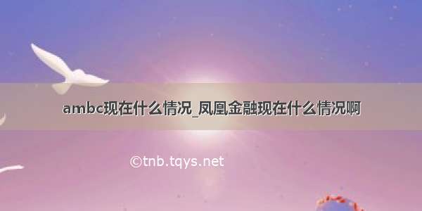 ambc现在什么情况_凤凰金融现在什么情况啊