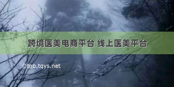 跨境医美电商平台 线上医美平台