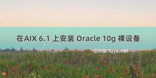 在AIX 6.1 上安装 Oracle 10g 裸设备