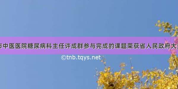 市中医医院糖尿病科主任许成群参与完成的课题荣获省人民政府大奖