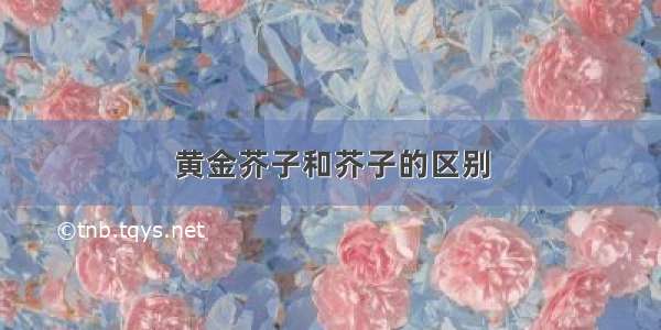 黄金芥子和芥子的区别