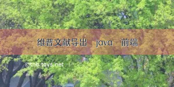 维普文献导出 – java – 前端