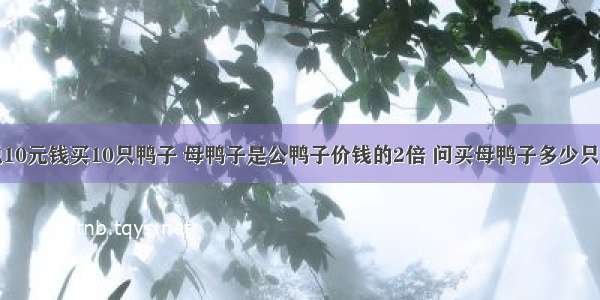 脑筋急转弯 说10元钱买10只鸭子 母鸭子是公鸭子价钱的2倍 问买母鸭子多少只公鸭子多少只.