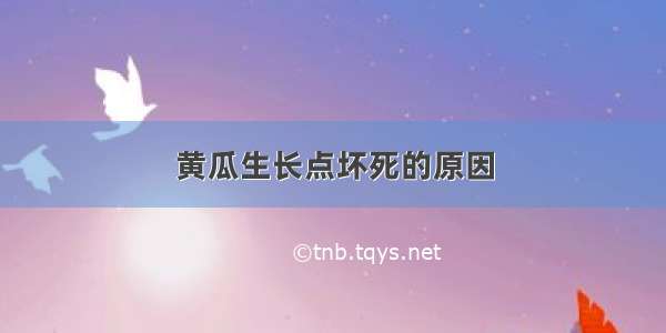 黄瓜生长点坏死的原因