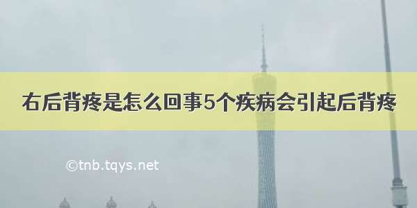 右后背疼是怎么回事5个疾病会引起后背疼