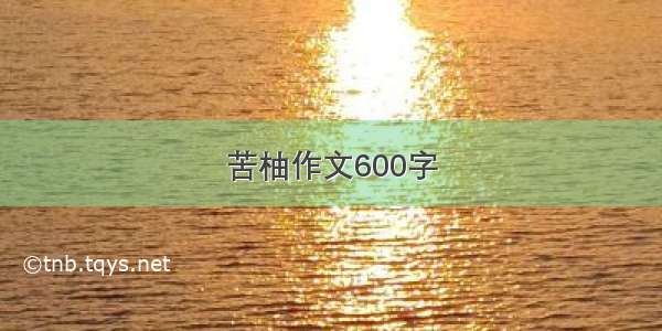 苦柚作文600字