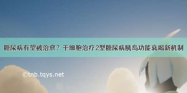 糖尿病有望被治愈？干细胞治疗2型糖尿病胰岛功能衰竭新机制