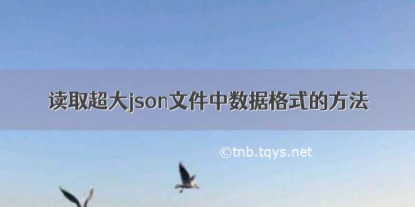 读取超大json文件中数据格式的方法