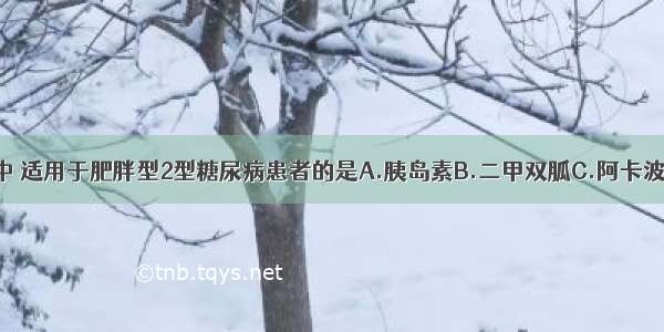 以下降糖药中 适用于肥胖型2型糖尿病患者的是A.胰岛素B.二甲双胍C.阿卡波糖D.格列齐