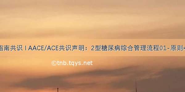 指南共识 l AACE/ACE共识声明：2型糖尿病综合管理流程01-原则**