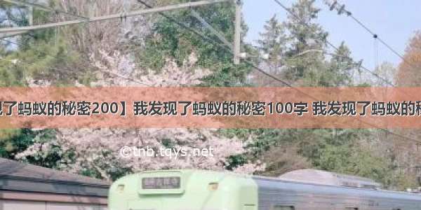 【我发现了蚂蚁的秘密200】我发现了蚂蚁的秘密100字 我发现了蚂蚁的秘密250字