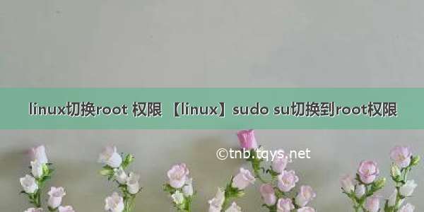 linux切换root 权限 【linux】sudo su切换到root权限