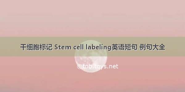 干细胞标记 Stem cell labeling英语短句 例句大全