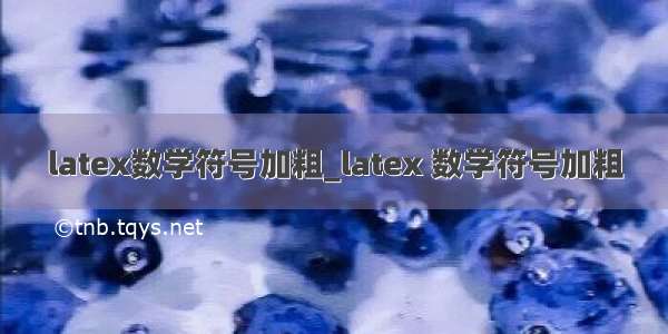 latex数学符号加粗_latex 数学符号加粗