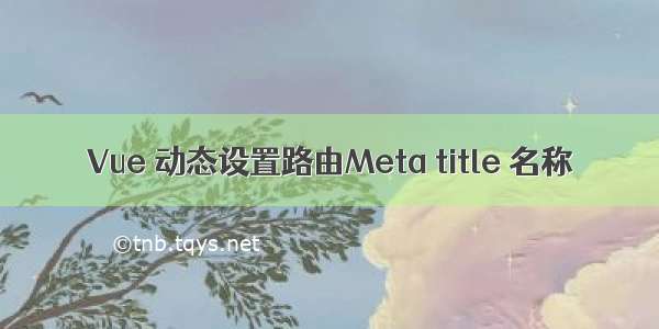 Vue 动态设置路由Meta title 名称