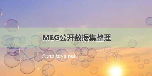 MEG公开数据集整理