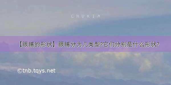 【眼睛的形状】眼睛分为几类型?它们分别是什么形状?