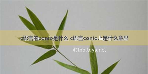 c语言的conio是什么 c语言conio.h是什么意思