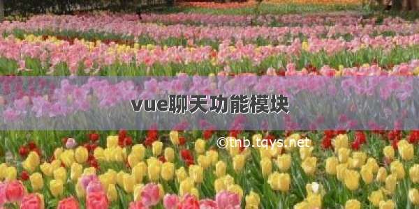 vue聊天功能模块