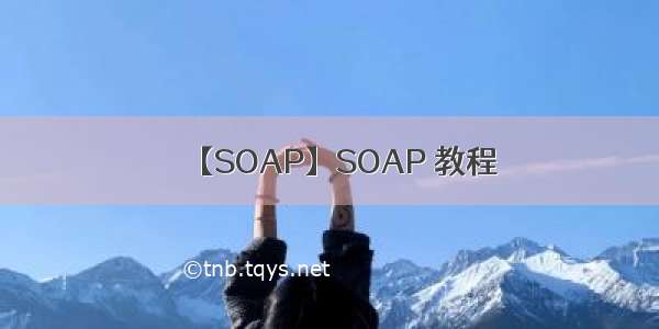 【SOAP】SOAP 教程