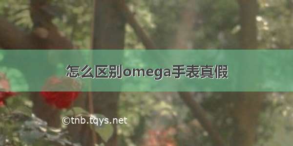 怎么区别omega手表真假