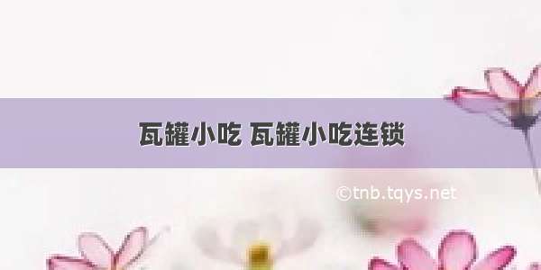 瓦罐小吃 瓦罐小吃连锁