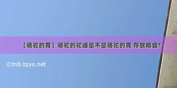 【骆驼的胃】骆驼的驼峰是不是骆驼的胃 存放粮食?