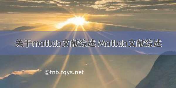 关于matlab文献综述 Matlab文献综述