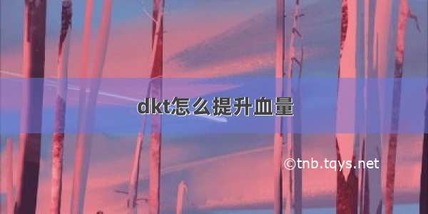 dkt怎么提升血量