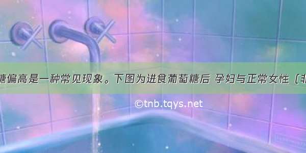 女性孕期血糖偏高是一种常见现象。下图为进食葡萄糖后 孕妇与正常女性（非孕妇）血糖