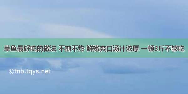 草鱼最好吃的做法 不煎不炸 鲜嫩爽口汤汁浓厚 一顿3斤不够吃