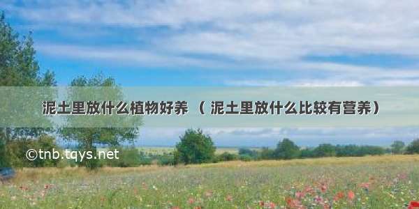 泥土里放什么植物好养 （ 泥土里放什么比较有营养）