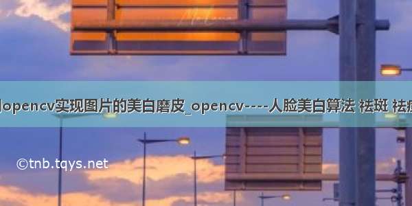 python用opencv实现图片的美白磨皮_opencv----人脸美白算法 祛斑 祛痘 磨皮等...