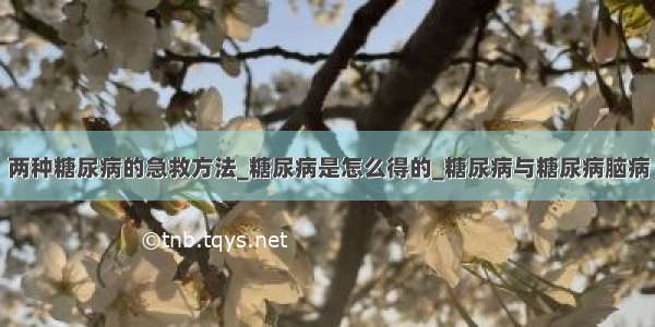 两种糖尿病的急救方法_糖尿病是怎么得的_糖尿病与糖尿病脑病