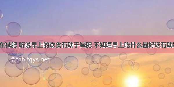 最近在减肥 听说早上的饮食有助于减肥 不知道早上吃什么最好还有助减肥？