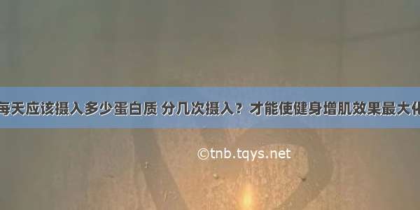 每天应该摄入多少蛋白质 分几次摄入？才能使健身增肌效果最大化